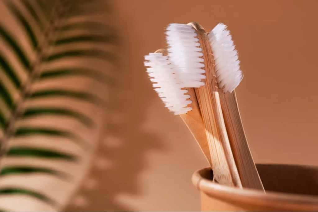 cepillos de bambu