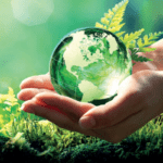 ¿Existe un cepillo de dientes totalmente biodegradable?