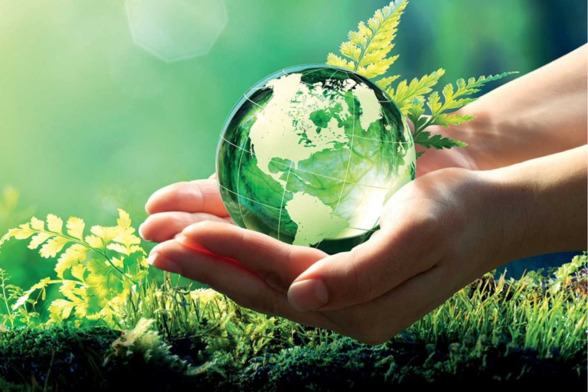 ¿Existe un cepillo de dientes totalmente biodegradable?