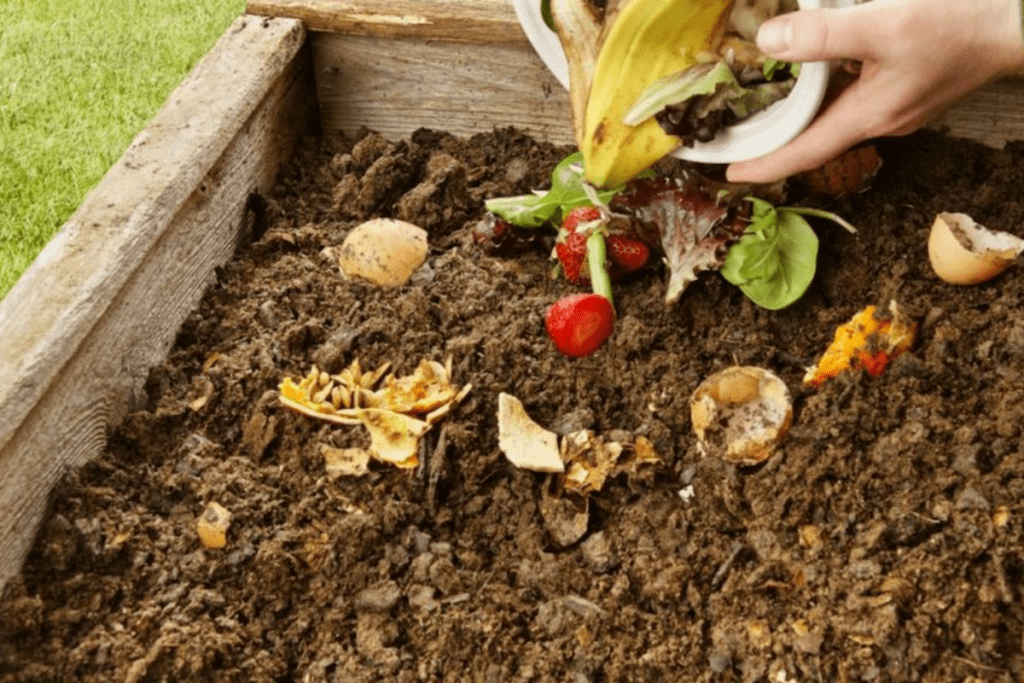 Mi experiencia desechando cepillos de bambú