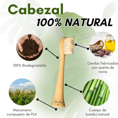 Cepillo Eléctrico Sónico de Bambú BIOLIKEN - Imagen 2